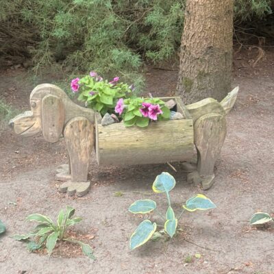 Plener w Wirwiltach 2025 (29)