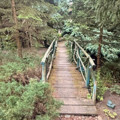 Plener w Wirwiltach 2025 (33)