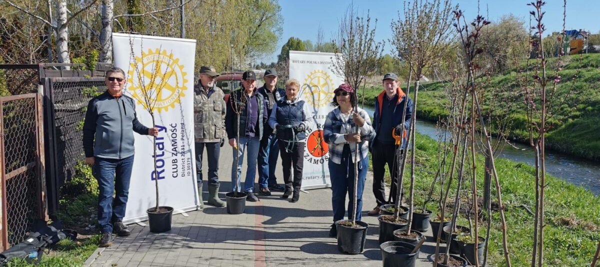 Dziewiąta edycja sadzenia drzew w Zamościu