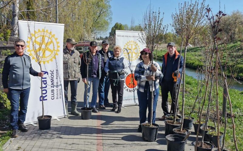 Dziewiąta edycja sadzenia drzew w Zamościu